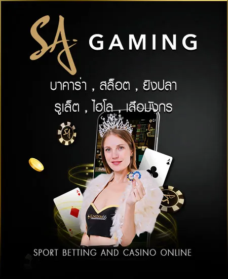 kingdom66 ทางเข้า